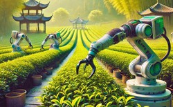 AI 'về làng'- chưa bao giờ việc bón phân, tưới nước ở thị trấn nhỏ này đơn giản như thế: Thời gian rút ngắn còn 1/10, tăng giá trị lại không thay thế con người
