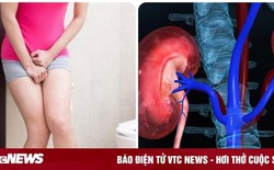 5 dấu hiệu thận đang quá tải và cần đi khám gấp