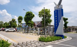 Ông Phạm Nhật Vượng và hành trình xây "mạch máu" cho xe điện trên khắp Việt Nam