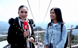Đỉnh cao fake news: Xem một video online, đôi vợ chồng già vượt 370km đường xa để được đi cáp treo và cái kết đau lòng