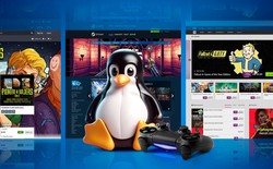Số game thủ dùng Linux vừa tăng tận 0,32%, Windows hãy dè chừng!