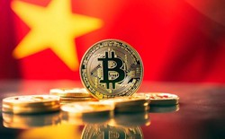 Phản ứng bất ngờ của các dự án blockchain sau Nghị quyết 05