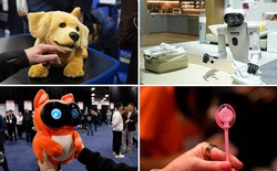 5 thiết bị kỳ lạ nhất tại CES 2026!