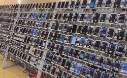 Quy mô khủng khiếp của “trang trại điện thoại” dưới tay "ông trùm" Chen Zhi