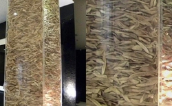 Bức ảnh khiến nhiều người sởn gai ốc tại 1 phòng khám phẫu thuật thẩm mỹ khu Gangnam Hàn Quốc