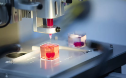 Tin vui cho hội nhậu nhẹt: gan in 3D có thể "cứu cánh" lá gan đang suy yếu