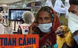 Toàn cảnh virus Nipah: Mối đe dọa âm ỉ khiến thế giới luôn trong trạng thái báo động