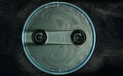 Lịch sử 5.000 năm của bánh răng sắp được viết lại: Không còn nỗi lo mài mòn hay bị kẹt