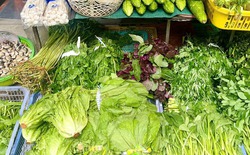 Loại rau tốt bậc nhất thế giới, bổ ngang nhân sâm tổ yến, chợ Việt bán đầy từ 15.000 đồng/kg