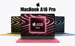 Apple sắp bán Macbook giá rẻ dùng chip ngang iPhone 16 Pro, thiết kế nhỏ gọn, hợp dân văn phòng, sinh viên