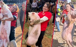 Người phụ nữ Trung Quốc gây sốt khi tay không thắng 22 cuộc thi bắt lợn chỉ trong một năm