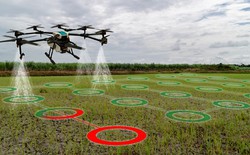 UAV "made in Israel" đang làm những điều tưởng không thể: Rung chuyển một lĩnh vực toàn cầu