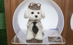 Ecovacs trình diễn chó robot, robot lau kính, cắt cỏ và vệ sinh hồ bơi tại CES 2026