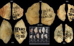 Mũi tên tẩm độc 60.000 năm tuổi hé lộ trí tuệ săn bắn vượt trội của con người thời tiền sử