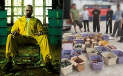 Phiên bản Breaking Bad đời thực sa lưới, bắt giữ cựu giáo sư hóa học lập xưởng điều chế ma túy