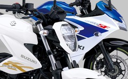 Tương thích với cả nhiên liệu sinh học ethanol, Suzuki Gixxer 250 liệu có đủ sức hồi sinh tại Việt Nam?