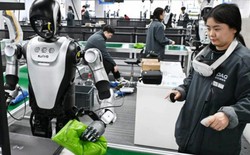 Nghề huấn luyện robot tại Trung Quốc: Rửa bát 200 lần/ngày kiếm 25 triệu, ngậm ngùi "dạy việc" cho sẽ kẻ cướp chén cơm của mình