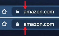 Cảnh báo thủ đoạn giả mạo tên miền website