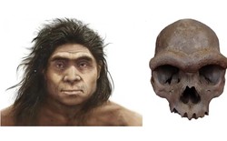 Giải mã bí mật chấn động về dung mạo người Denisovan: Nhánh nhân loại bí ẩn đã lộ diện
