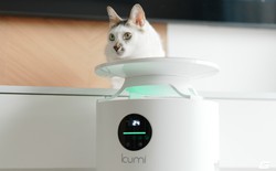 Dùng thử Kumi PureSense KP460: Máy lọc không khí gần 5 triệu, hút lông và giảm mùi ra sao trong nhà có 2 chú mèo?