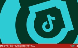 TikTok gỡ bỏ hơn 7,5 triệu video vi phạm tiêu chuẩn cộng đồng tại Việt Nam