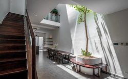 Những dấu hiệu trong không gian sống mà người xưa coi là “tụ khí tốt”, nay khoa học giải thích ra sao?