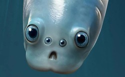 Phát hiện chấn động: Tổ tiên 500 triệu năm trước của loài người từng nhìn đời bằng bốn con mắt!