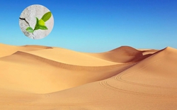 Phát minh làm rung chuyển ngành xây dựng: Tạo ra bê tông từ thứ tưởng không thể dùng, bước ngoặt cho vật liệu phổ biến thứ 2 thế giới