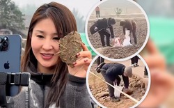 Kiếm gần 1 triệu đô nhờ mổ lợn, cô gái trẻ khiến đất quanh nhà hóa bùa hộ mệnh bán giá đắt hơn vàng