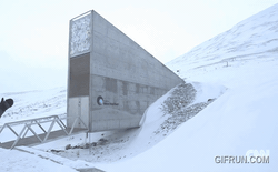 "Hầm tận thế" mở cửa: Việt Nam đã gửi gì?