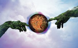 Đừng vội tin vào mắt mình, hàng ngàn loài động vật đang đội lốt nhau để che giấu thân phận thật sự