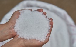 Thứ nhìn như muối nhưng là khắc tinh của ẩm ướt: Giá vài chục nghìn, cứ trời nồm là bán chạy