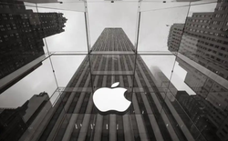 Sau Mỹ, Trung Quốc và Ấn Độ, Apple chọn Việt Nam làm điều đặc biệt!