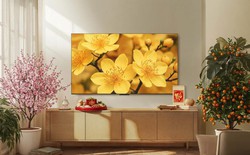 Xu hướng TV 2026: Khi màn hình lớn và công nghệ QD-Mini LED "phổ cập" phòng khách Việt