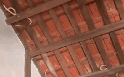 Dọn nhà đón Tết, gia chủ "lạnh sống lưng" khi nhìn thấy cảnh tượng trên mái nhà: Có thể là ám ảnh tới già