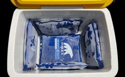 Fuji Ice: Tiên phong công nghệ sản xuất đá gel giữ lạnh trong bảo quản