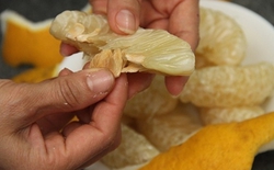 Bưởi rất tốt, nhưng kết hợp với thứ này chẳng khác nào độc dược tàn phá gan