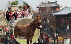 Ngôi làng cổ 600 năm tuổi tại Trung Quốc đổi đời nhờ đóng phim: Cả người và vật nuôi đều thành diễn viên