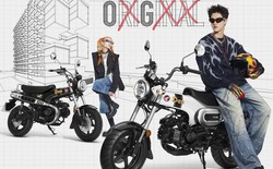 Honda tung Honda Dax màu trắng OG White và đen OG Black, phong cách hoài cổ gây chú ý giới chơi xe