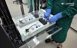 Bạn có nhớ cụm neuron thần kinh chơi được Doom hôm trước không? Nó sắp được ghép thành trung tâm dữ liệu sinh học rồi đây này