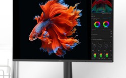 Màn hình AOC 25B35XE 24,5 inch 144Hz giá rẻ xuất hiện tại Trung Quốc, tập trung cho game thủ