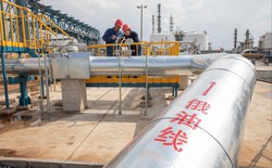 Startup Trung Quốc tuyên bố làm ra xăng từ không khí và nước: chuyên gia cảnh báo giá không rẻ và hồ sơ công ty quá đáng ngờ