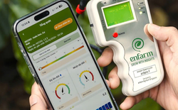 AI không còn để thử cho vui: 4 ứng dụng AI Việt phục vụ công việc từ làm web đến trồng trọt