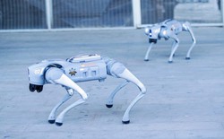 Robot bảo vệ AI: Canh gác những trung tâm dữ liệu vô giá