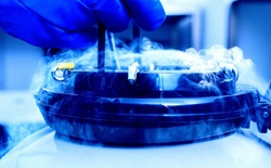 Não chết rồi vẫn “sống lại”? Thí nghiệm đóng băng sâu gây chấn động giới khoa học toàn cầu