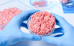 Vì sao người phương Tây mê thịt tảng còn người Việt Nam, Trung Quốc hay Hàn Quốc lại chuộng thịt thái nhỏ?