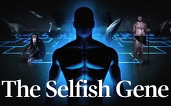 Vì sao hy sinh lại giúp chiến thắng trong tiến hóa khi gen ích kỷ vẫn âm thầm chi phối mọi hành vi sống còn