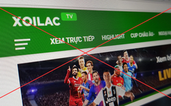 Nóng: Triệt phá đường dây “Xôi Lạc TV” phát sóng lậu, tổ chức đánh bạc