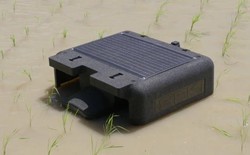 VN làm thành công dự án đầu tiên trên TG trong lĩnh vực nuôi sống một nửa nhân loại: Vừa áp dụng robot AI