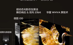 TCL ra mắt TV QD-Mini LED cao cấp, giá từ 21,3 triệu đồng